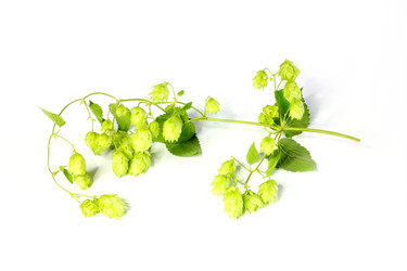 Similar image 4039923