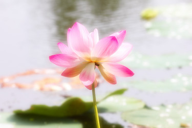 Similar image 4039962