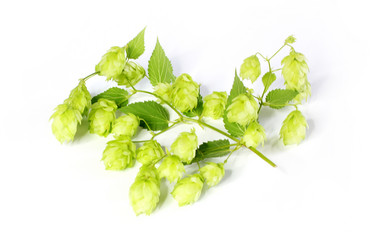 Similar image 4040136