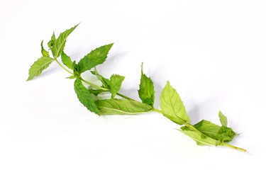 Similar image 4042192