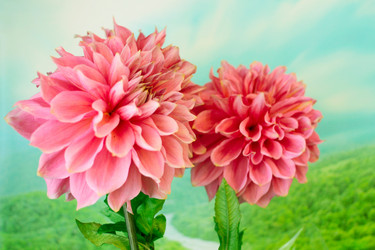 Similar image 4042277