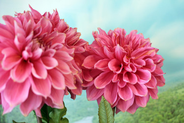 Similar image 4042299