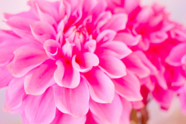 Similar image 4042363