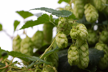 Similar image 4042573