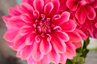 Similar image 4042695