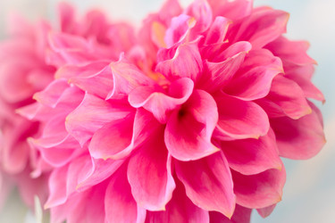 Similar image 4043472