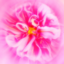 Similar image 4043510