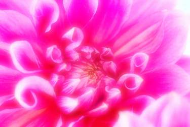 Similar image 4043525