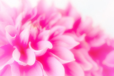 Similar image 4043537