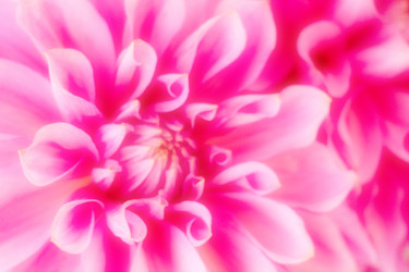 Similar image 4043550