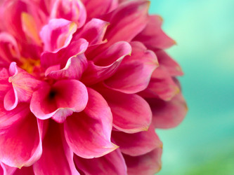 Similar image 4043581