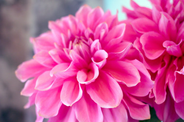 Similar image 4043686