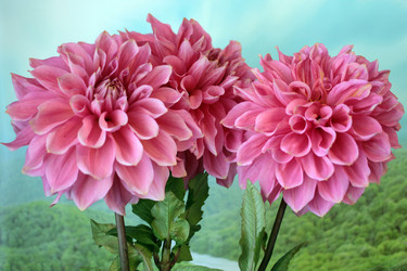 Similar image 4043705