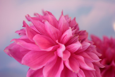 Similar image 4043821