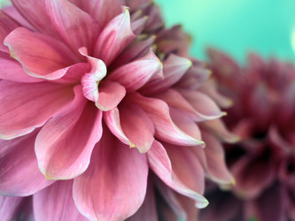 Similar image 4043832