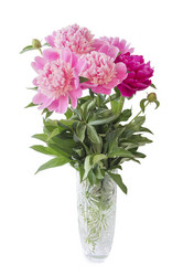 Similar image 4096974