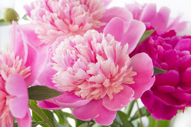 Similar image 4096996