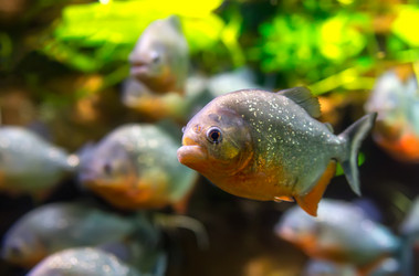 Similar image 4110967