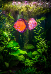 Similar image 4111051