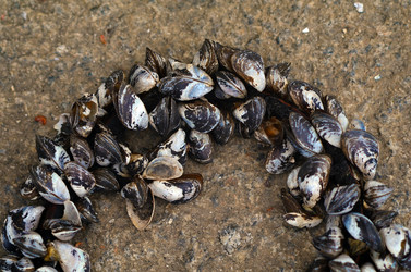 Similar image 4546219