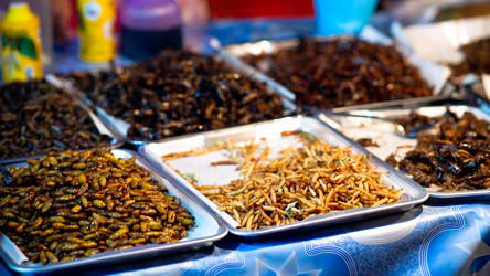 Similar image 4552745