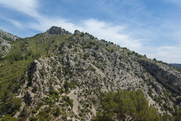 Similar image 4554712