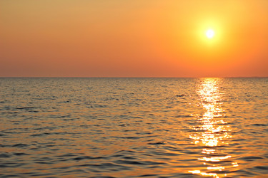 Similar image 4554760