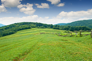 Similar image 4554800