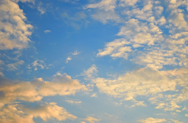 Similar image 4554826