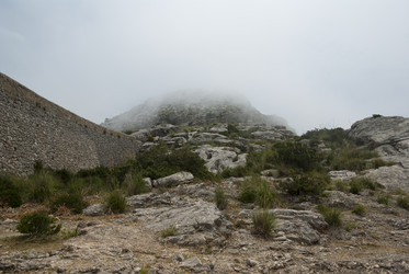 Similar image 4555572