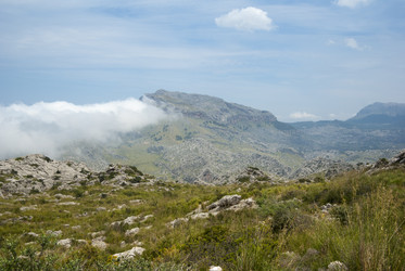 Similar image 4555580