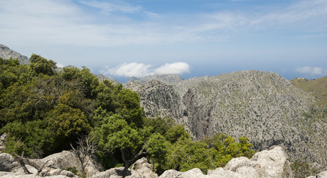 Similar image 4555617