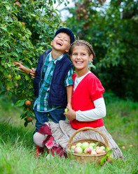 Similar image 4555714