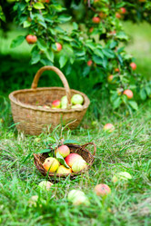 Similar image 4557216