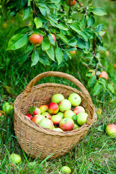 Similar image 4557312