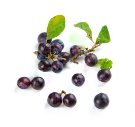 Similar image 4565874