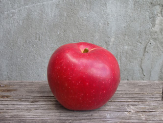 Similar image 5440025