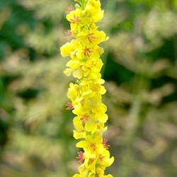 Similar image 5440043