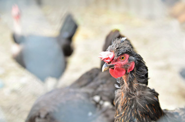 Similar image 5440076