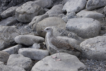 Similar image 5440093