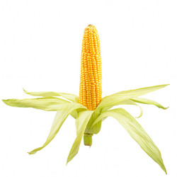 Similar image 5440122