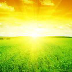 Similar image 5440123