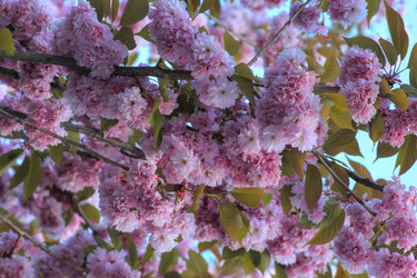 Similar image 5440166