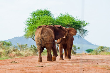 Similar image 5440228