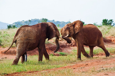 Similar image 5440233