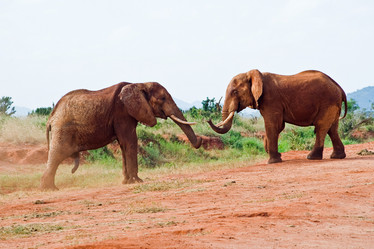 Similar image 5440236