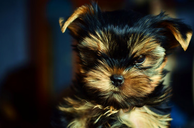 Similar image 5440292