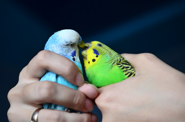 Similar image 5440294