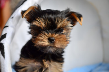 Similar image 5440295