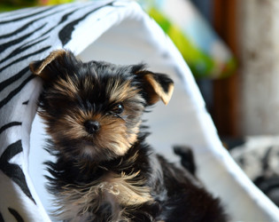 Similar image 5440296